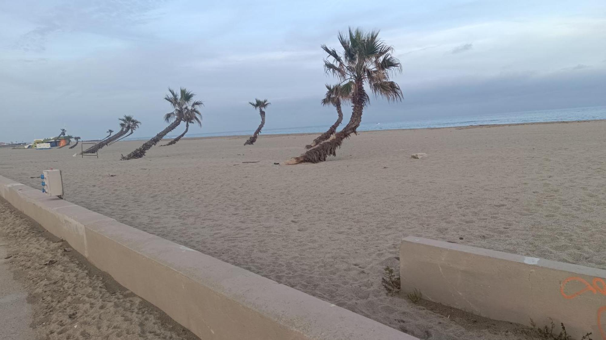 Les 2 Dauphins Διαμέρισμα Le Barcarès Εξωτερικό φωτογραφία